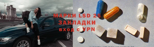 прущие грибы Дмитров