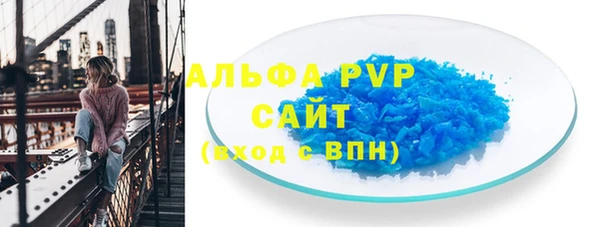 прущие грибы Дмитров