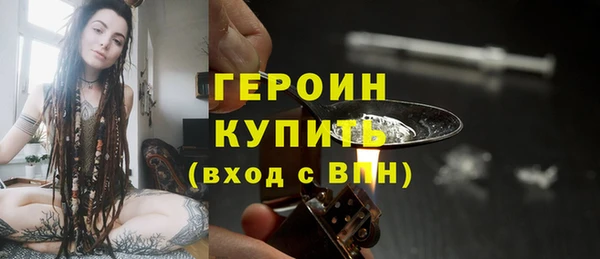 прущие грибы Дмитров