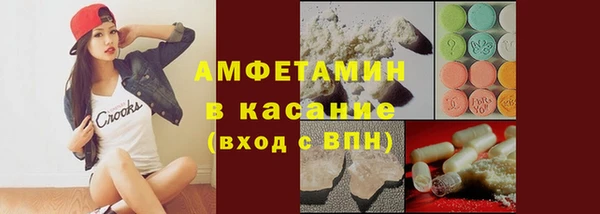 индика Елизово