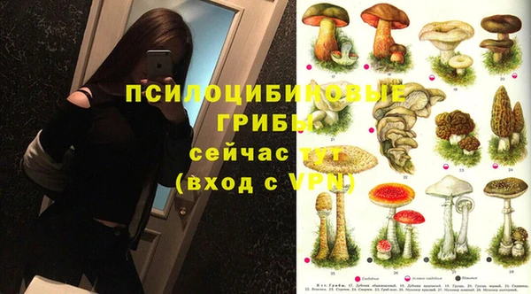 каннабис Дмитриев