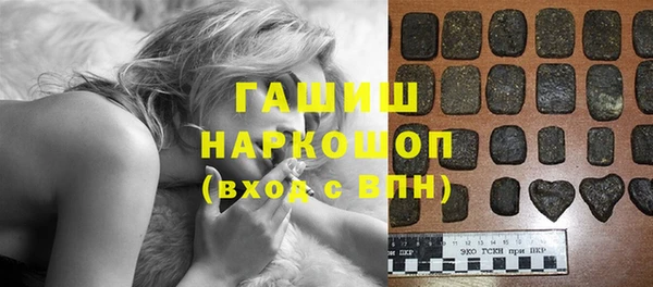 гидра Гусев