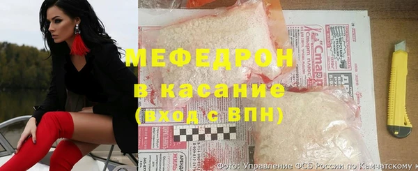 индика Елизово