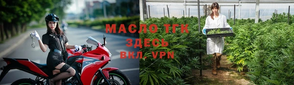 прущие грибы Дмитров